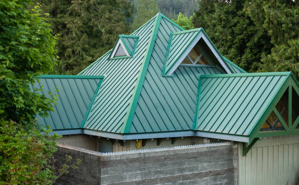 Best Solar Panel Roofing Installation  in Brookneal, VA