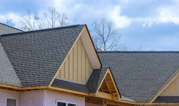 Best Rubber Roofing (EPDM, TPO)  in Brookneal, VA
